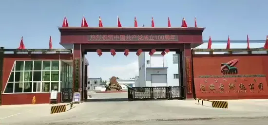 Wholesale 2021 New Crop Shine Skin Pumpkin Seeds with Cheap Price