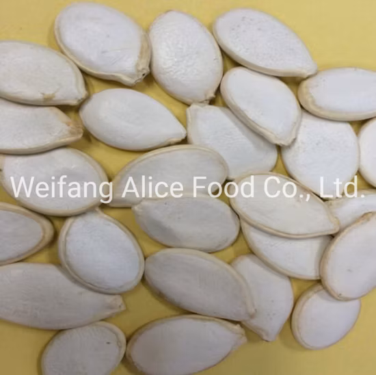 최고 품질의 호박씨 커널 수출